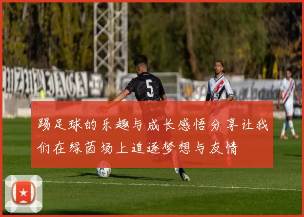 踢足球的乐趣与成长感悟分享让我们在绿茵场上追逐梦想与友情